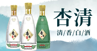 山西杏花源酒業有限公司