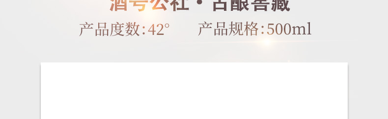 专题_21